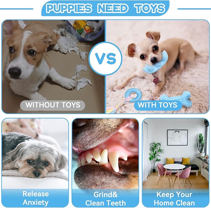 Petcare 6 Pack Puppy Chew Toys - Image 6