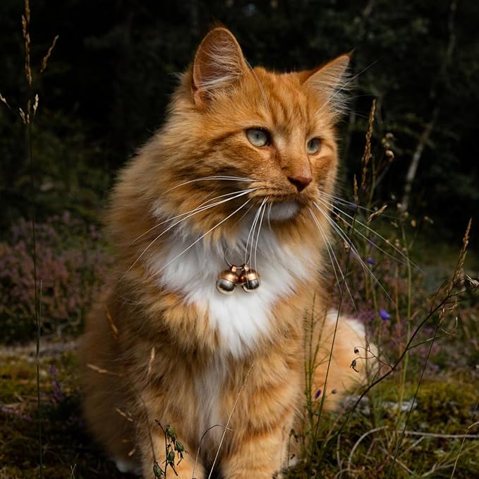 Beau's Bells 2 Extra Loud Cat & Dog Bells | Pet Tracker | Save Birds & Wildlife - Image 3