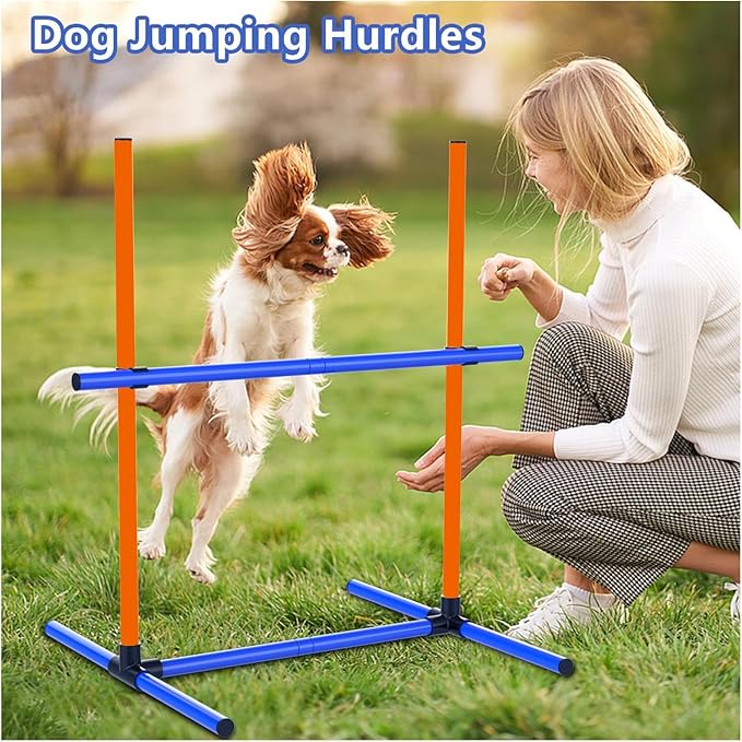 Dog Agility Training Jumping Hoop - Image 6
