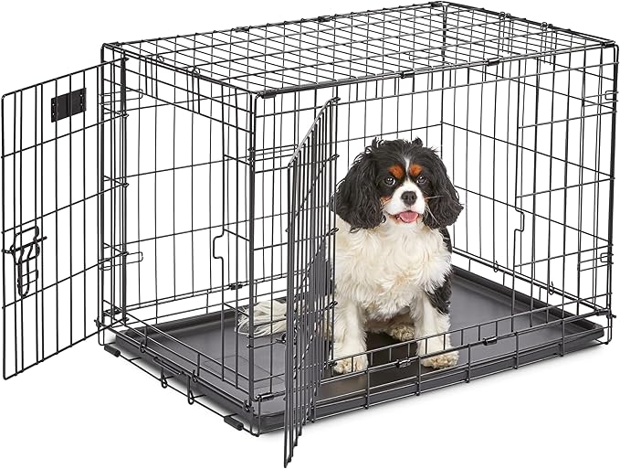 MidWest Homes for Pets 30-Inch iCrate for Medium Breeds, 21-40 lbs, Double Door by MidWestHomesForPets
