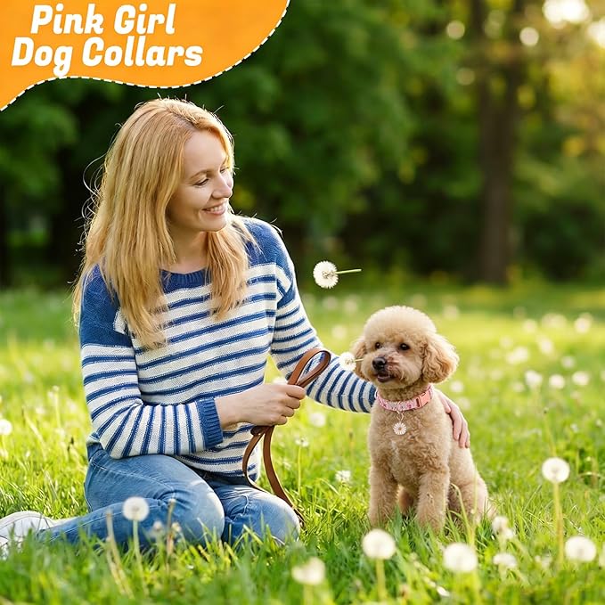 3 Pack Floral Dog Collars for Small Dogs Flower Dog Collars - Image 5