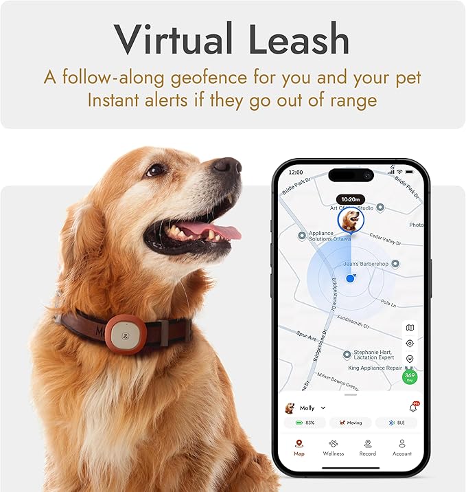 Molly&Cody GPS + Bluetooth Pet Tracker - Image 2