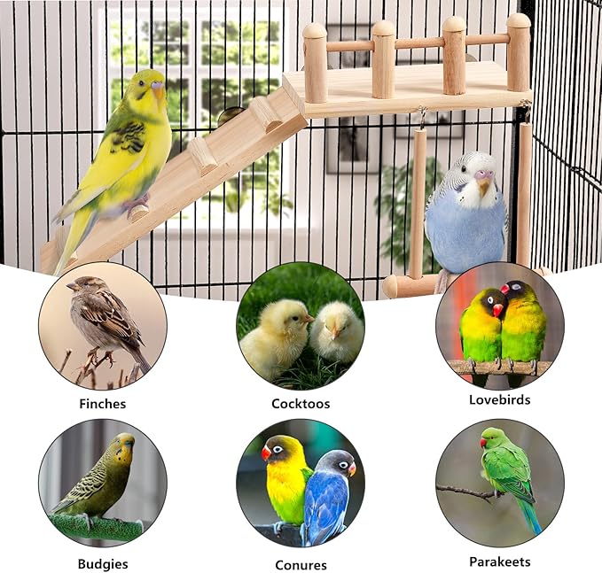FrgKbTm Bird Perches Platform Swing - Image 4
