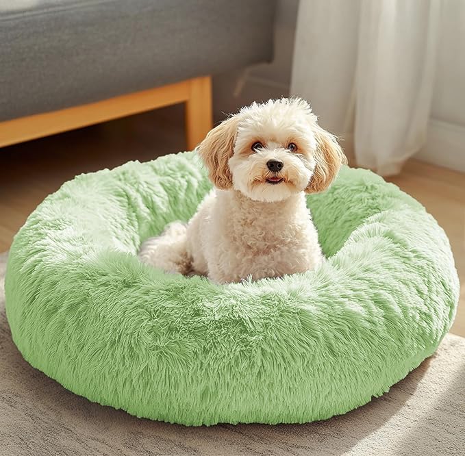 JOLLYVOGUE Dog & Cat Bed, Calming Anti-Anxiety Pet Bed by JOLLYVOGUE