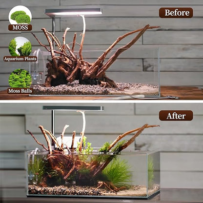 majoywoo Natural Large Driftwood - Image 5