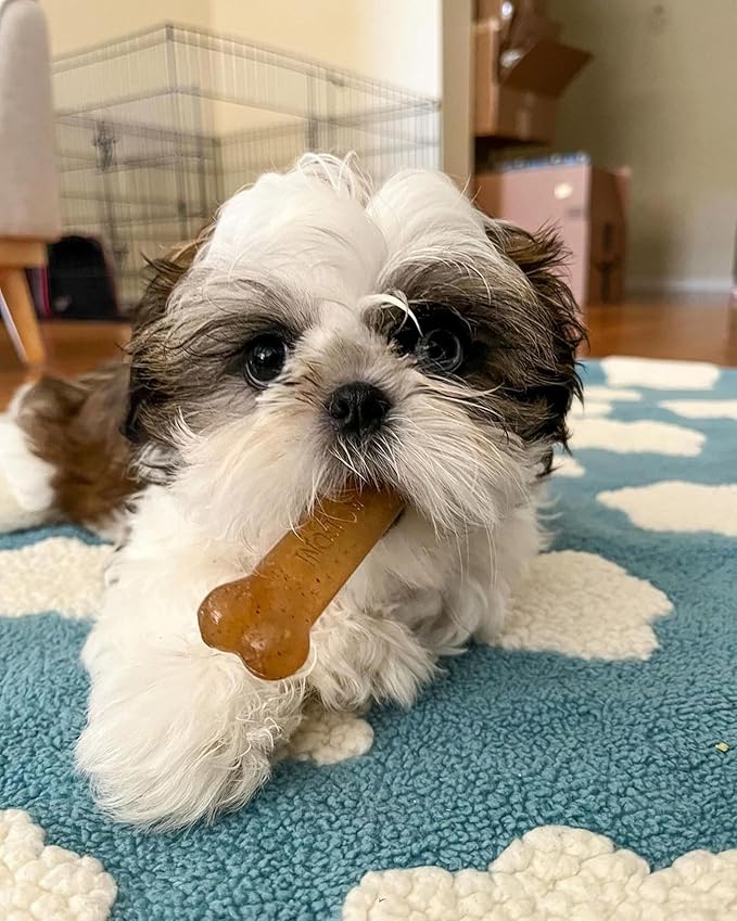 Nylabone Puppy Chew Teething Bone, Toys - Image 6