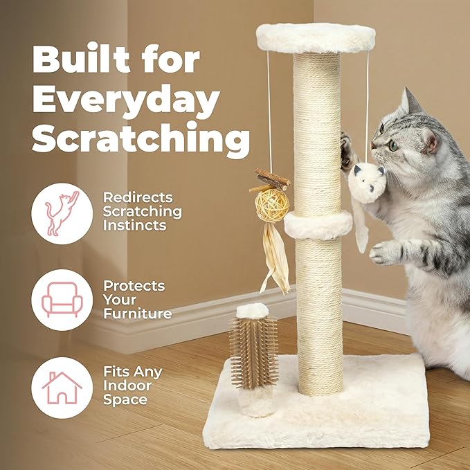 Best Pet Supplies Catify Cat Scratcher, Fun Interactive Scratchers, Claw Safe - Image 2