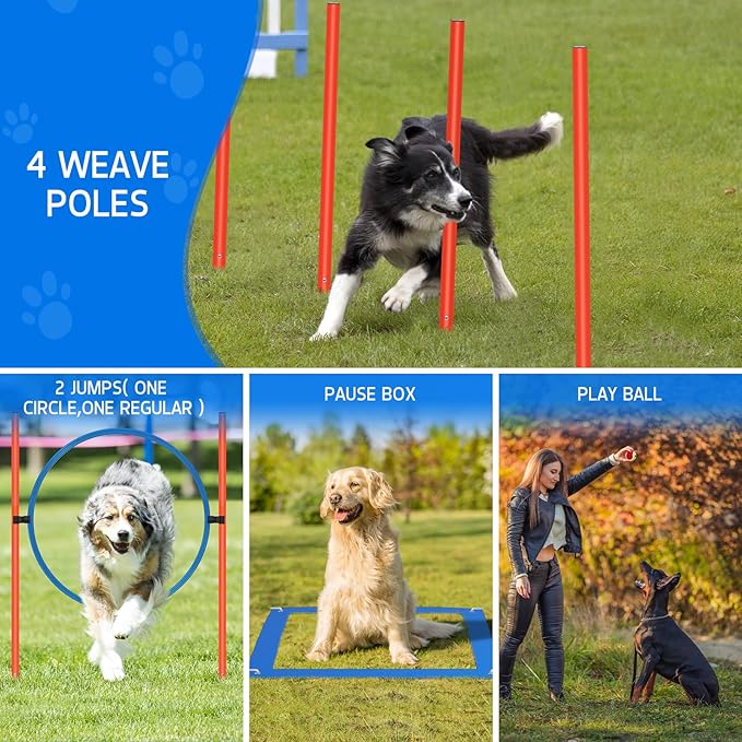 Polar Aurora Dog Agility Equipment, Dog Obstacle Courses Backyard - Image 2