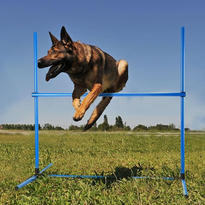 Shappy 4 Pieces Dog Agility Equipment - Image 6