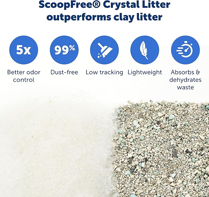 PetSafe ScoopFree Self-Cleaning Cat Litter Box Tray Refills - Image 4