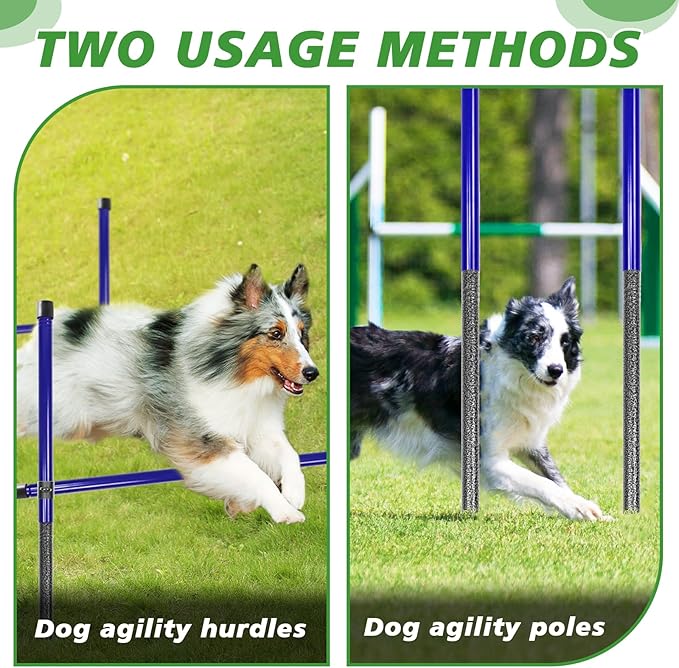 Dog Agility Course Backyard Set, Metal Dog Agility Training Equipment - Image 4