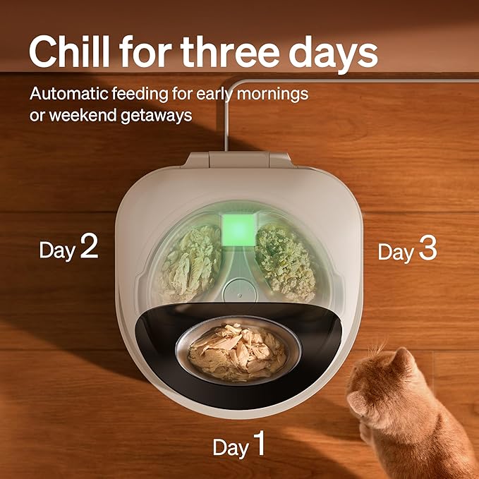 PETLIBRO Automatic Wet Cat Feeder - Image 2