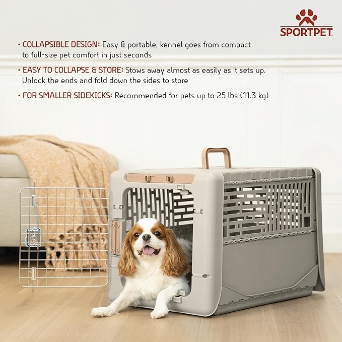 SportPet Designs Collapsible Small Pet Travel Carrier, Hard-Sided Kennel - Image 2
