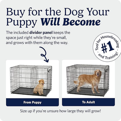 MidWest Homes for Pets 30-Inch iCrate for Medium Breeds, 21-40 lbs, Double Door - Image 3