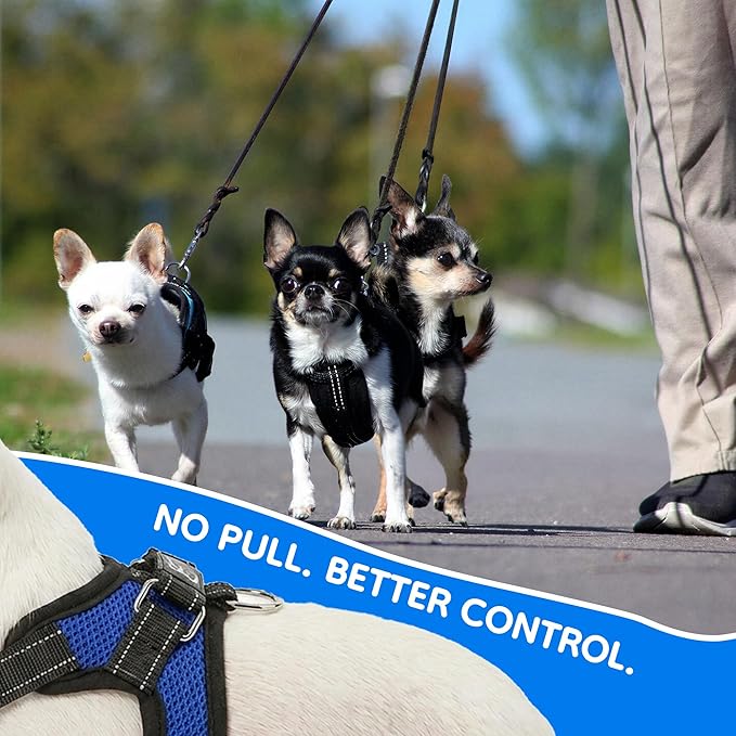 No Pull Reflective Adjustable Dog Harness - Image 6