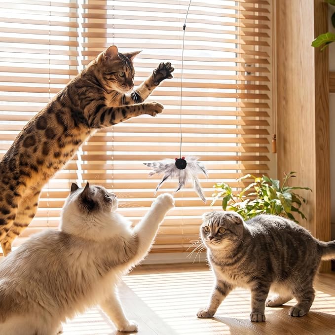 Cat Toys Wand Cat Fishing Pole Toy Cats Teaser Toys - Image 7