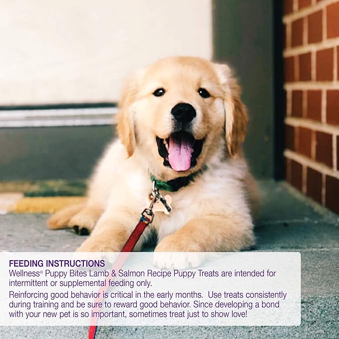 Wellness Soft Puppy Bites Healthy Grain-Free Treats - Image 6