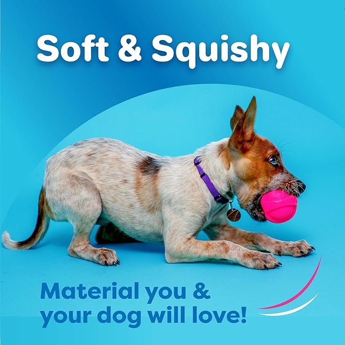 Hartz DuraPlay Bacon Scented Dog Toys, Large 1 Count, Colors may vary - Image 2