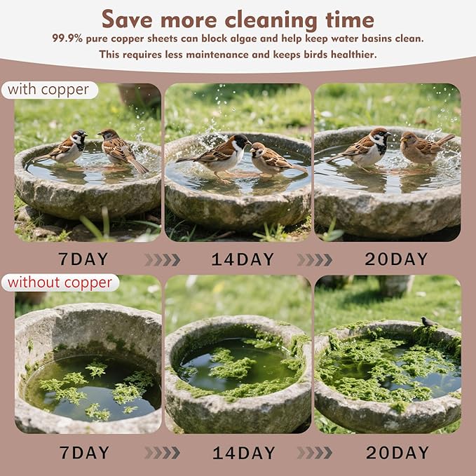 Joyfulmap Copper Bird Bath Purification Disk, 99.99% Pure Copper Cleaning - Image 6