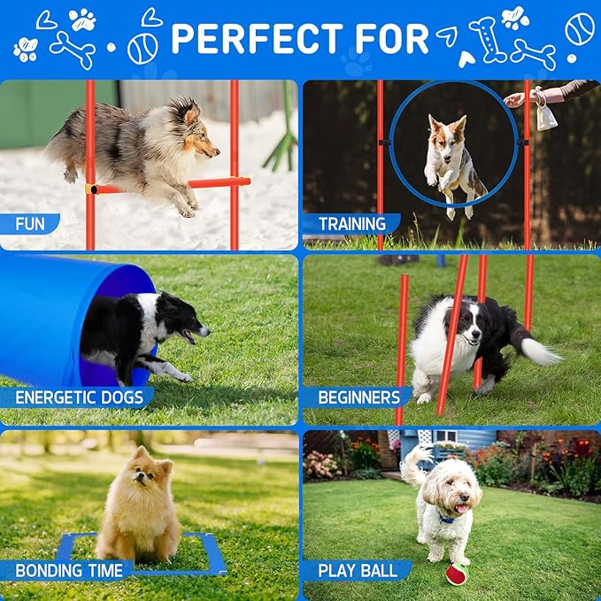 Polar Aurora Dog Agility Equipment, Dog Obstacle Courses Backyard - Image 5