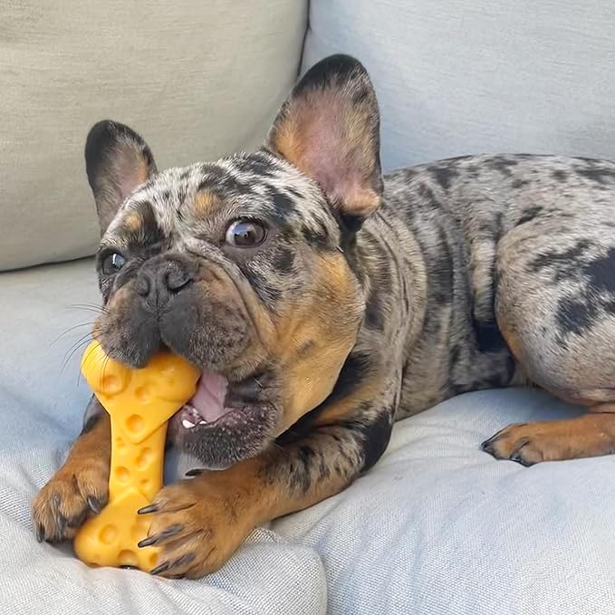 Nylabone Cheese Bone Power Chew Toy - Image 14