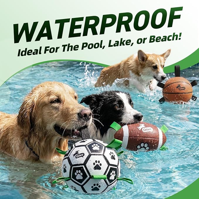 QDAN Dog Soccer Ball Football Basketball Set - Image 4