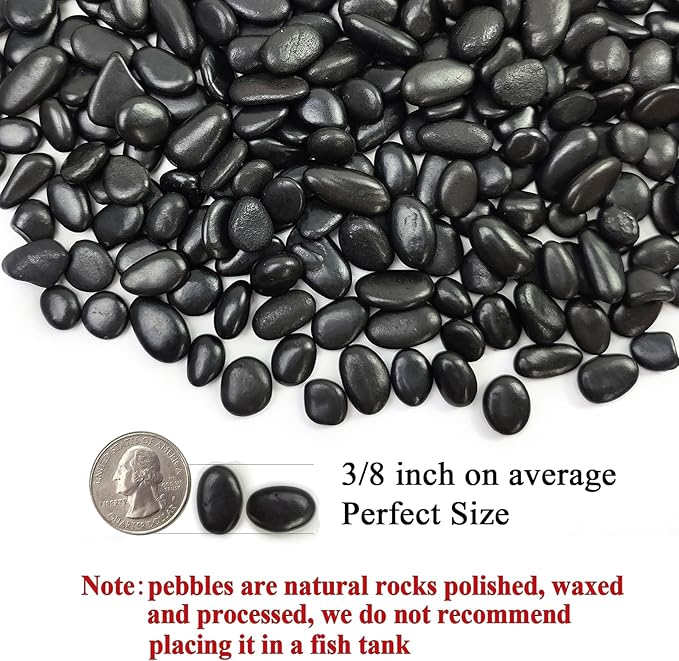 FANTIAN 2 lbs Black Pebbles for Indoor Plants, 3/8 inch Decorative Rocks - Image 2
