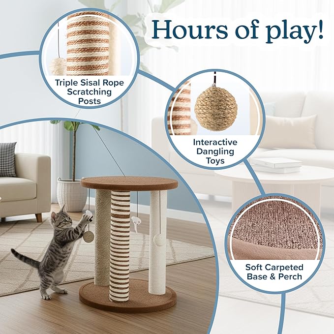 Cat Scratching Post - Image 2