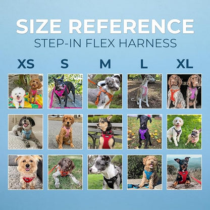 Best Pet Supplies Voyager Adjustable Step-in Flex Breathable Mesh Dog Harness - Image 7
