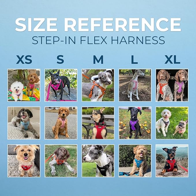 Best Pet Supplies Voyager Adjustable Step-in Flex Breathable Mesh Dog Harness - Image 7