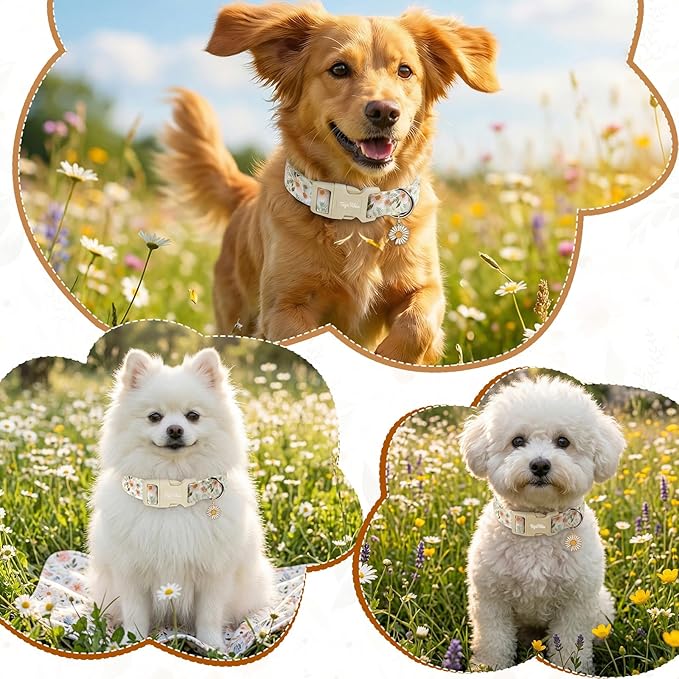 Floral Dog Collar, Spring Summer Cute Daisy Print - Image 6