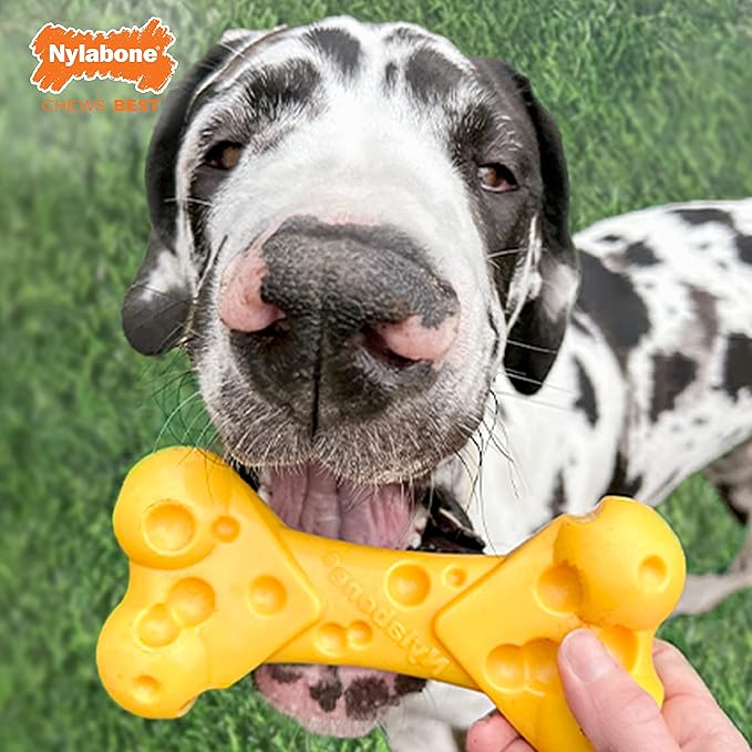 Nylabone Cheese Bone Power Chew Toy - Image 8