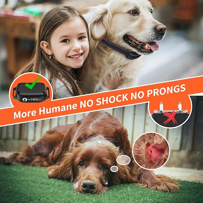 No Shock Dog Training Collar - Image 2