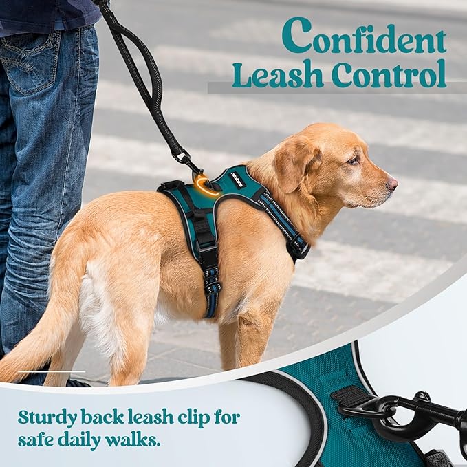 rabbitgoo Dog Harness No Pull - Image 6