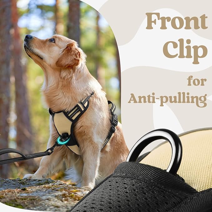 rabbitgoo Dog Harness Small Sized, No Pull Easy On & Off - Image 7