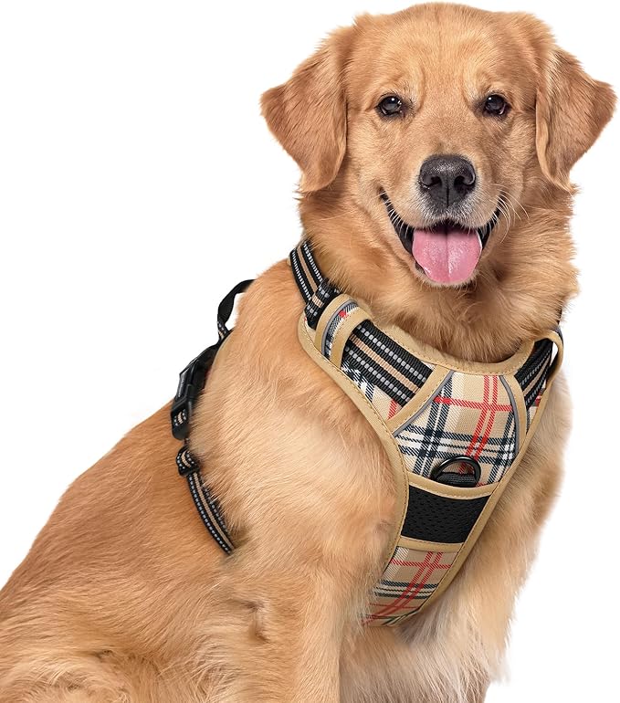 rabbitgoo Dog Harness No Pull by rabbitgoo
