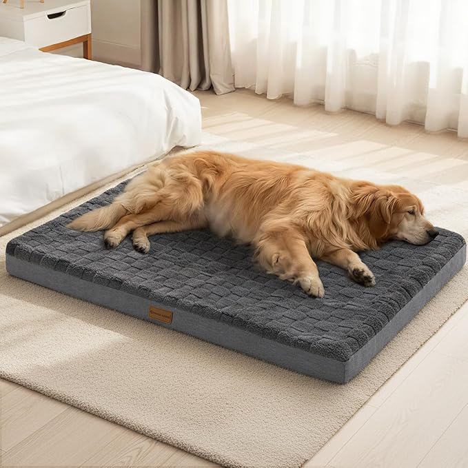 Patas Lague Orthopedic Jumbo Dog Bed by PatasLague