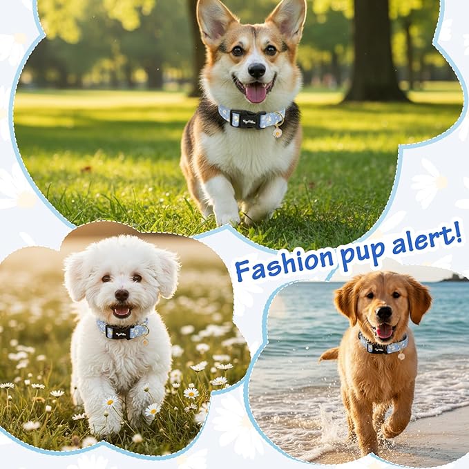 Dog Collar with Daisy Patterns, Spring Summer Collection Blue Dog Collar with - Image 5