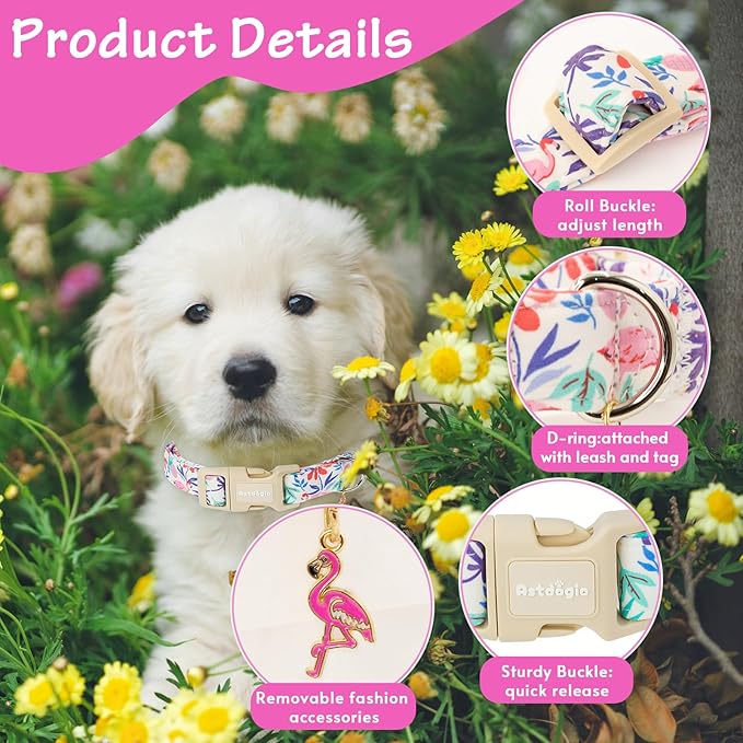 Summer Dog Collar for Extra Small Dogs，Cute Puppy Collars - Image 2
