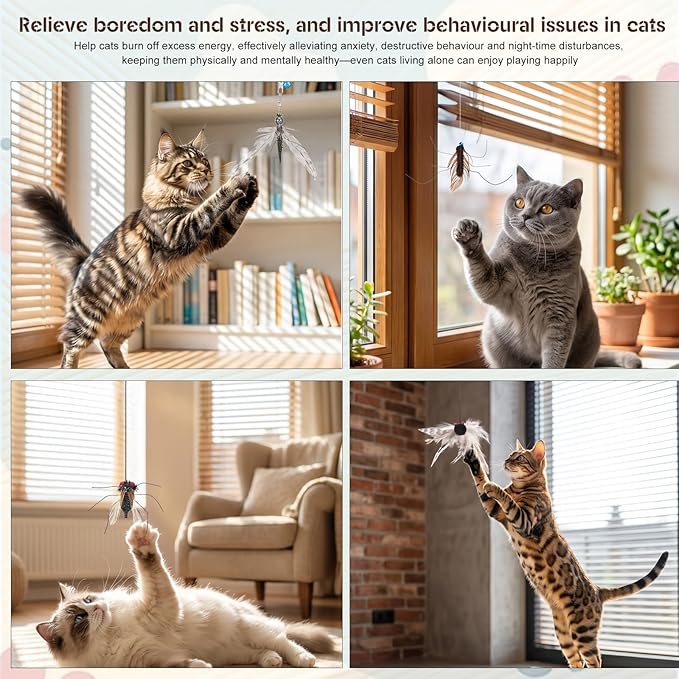 Cat Toys Wand Cat Fishing Pole Toy Cats Teaser Toys - Image 6