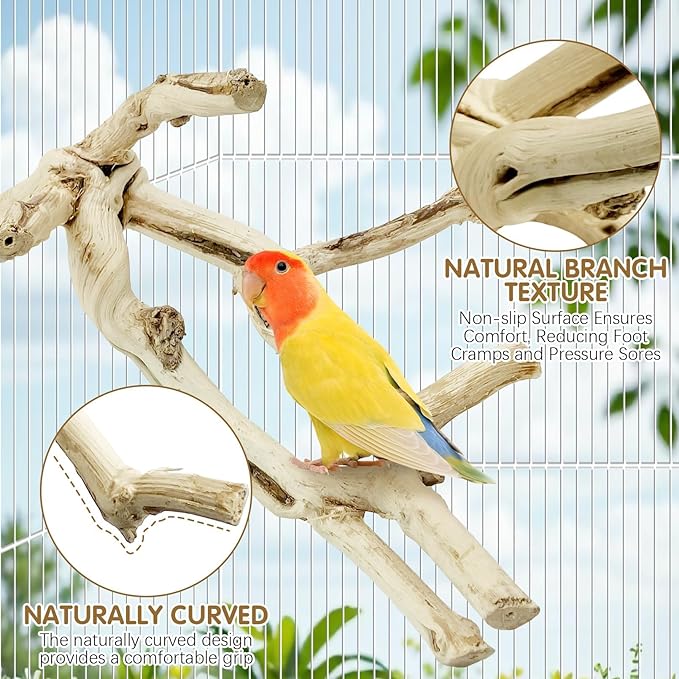 kathson Bird Perch Stand 10"-12" Nature Wood Stand Toy Parrot Cage Branch Paw - Image 3