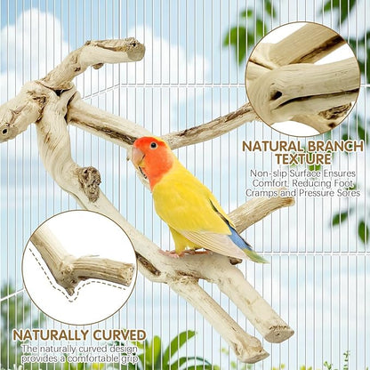 kathson Bird Perch Stand 10"-12" Nature Wood Stand Toy Parrot Cage Branch Paw - Image 3