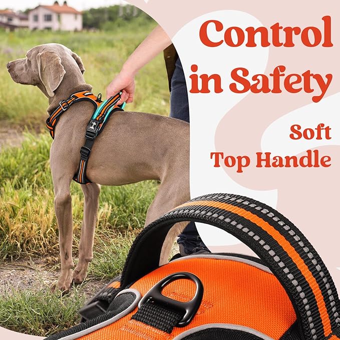 rabbitgoo Dog Harness for Large, No Pull Easy On & Off - Image 4