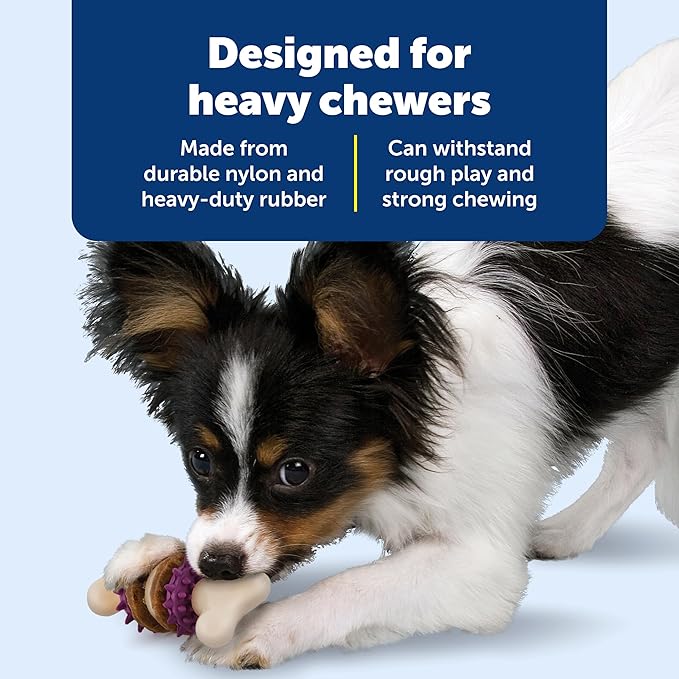 PetSafe Busy Buddy Bristle Bone Dog Chew Toy - Image 4