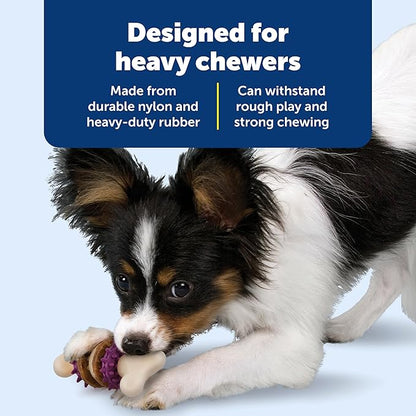 PetSafe Busy Buddy Bristle Bone Dog Chew Toy - Image 4