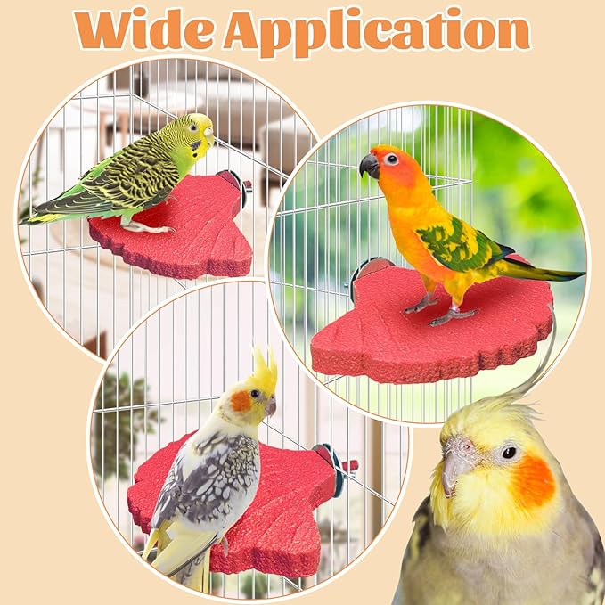 3PCS Bird Beak Grinding Stone - Image 6