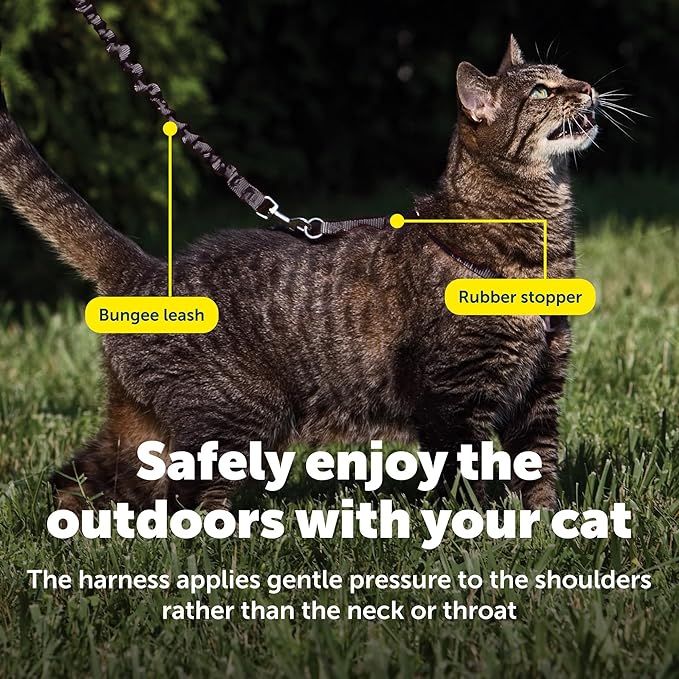 PetSafe Come with Me Kitty Harness and Bungee Leash Adjustable, Lightweight - Image 6