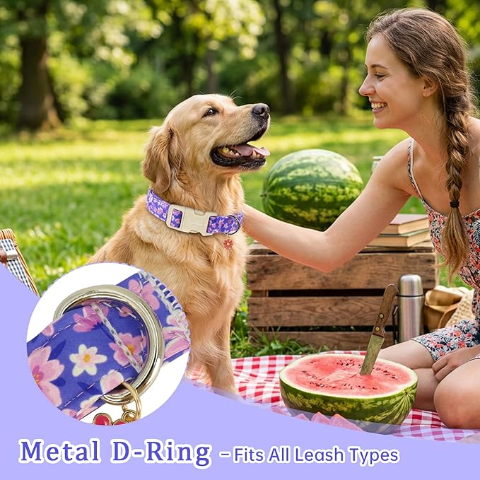 Floral Dog Collar, Spring Summer Cute Purple Flower Pet Collar - Image 4