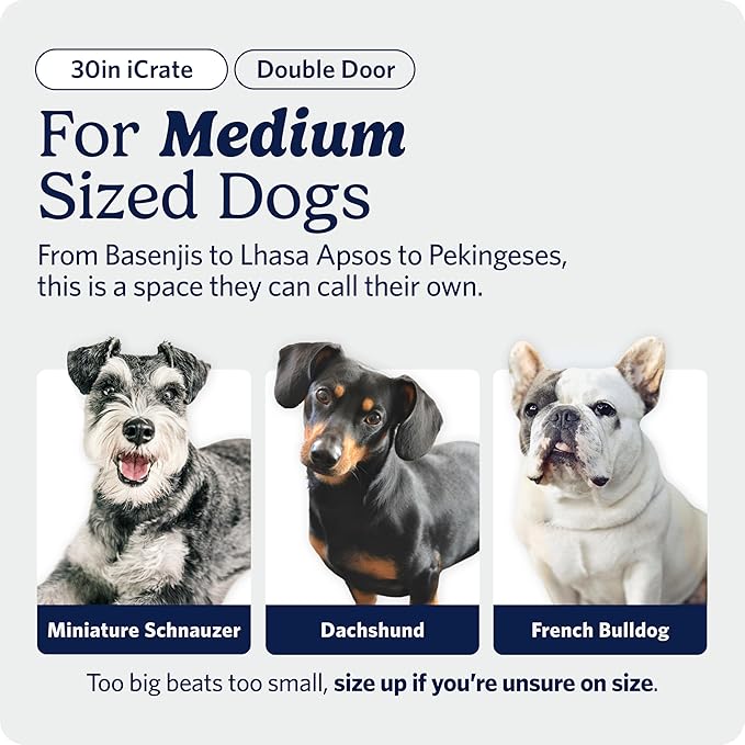 MidWest Homes for Pets 30-Inch iCrate for Medium Breeds, 21-40 lbs, Double Door - Image 2