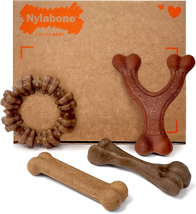 Nylabone Strong Chew Dog Toy 4-Pack Made - Image 11
